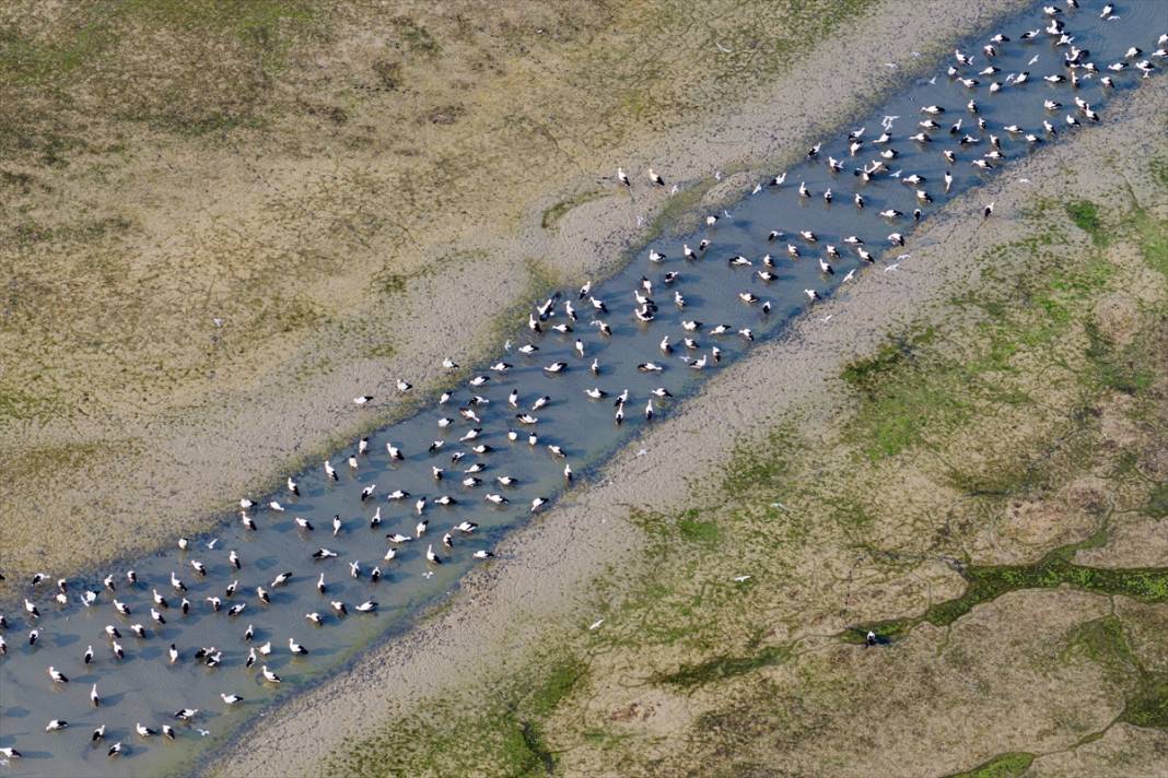 Gurbetçiler göç yolunda! Molayı Konya'da verdiler 7